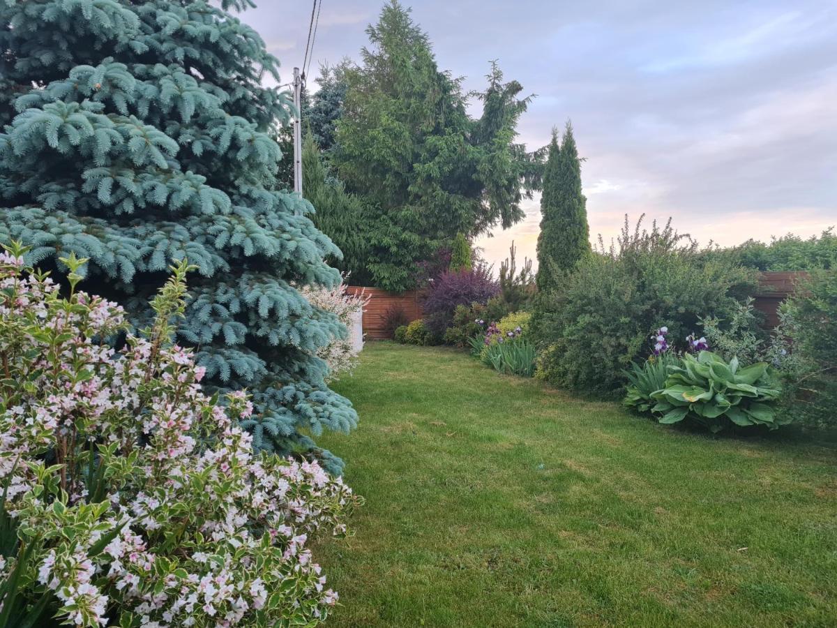 Siedlisko Jozefka Villa Zarobka Екстериор снимка